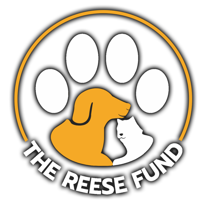 Logo with a dog and cat inside a paw print and the text 'THE REESE FUND' beneath.