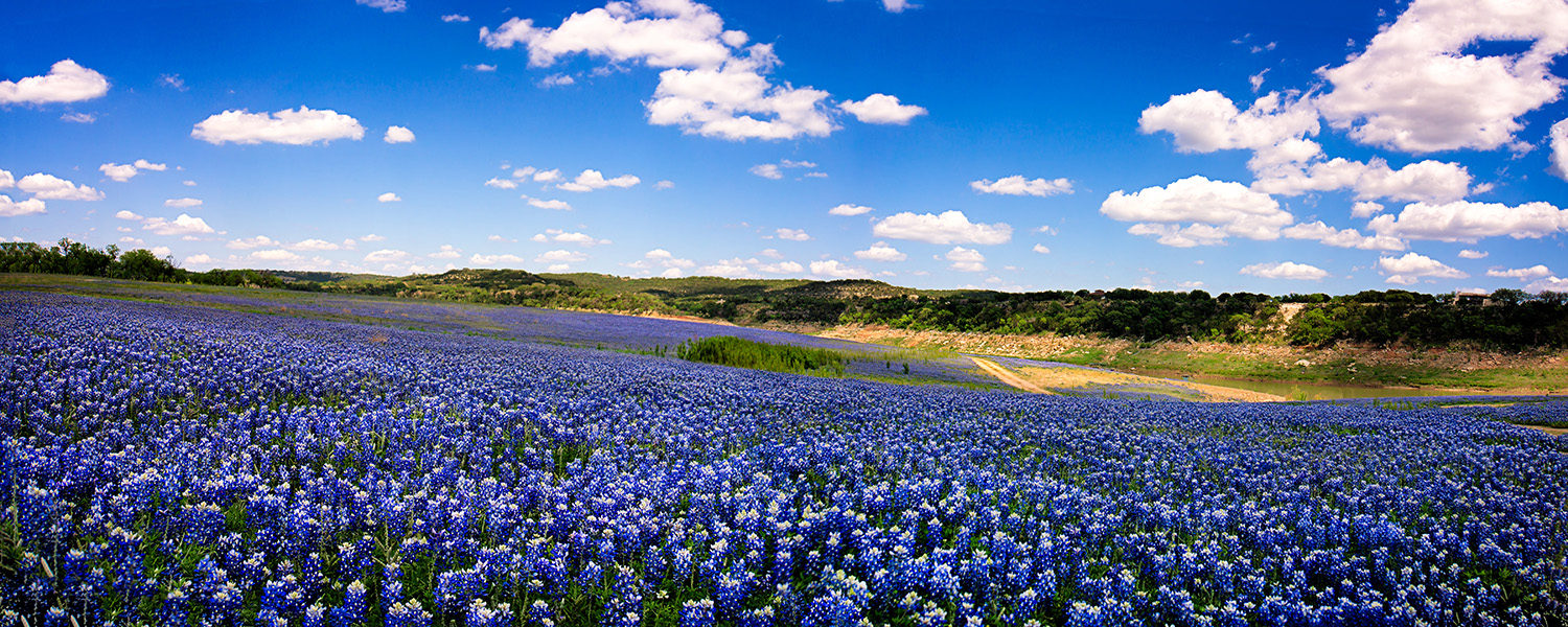 South Austin New Location! Allergist & Sinus Specialist Experience