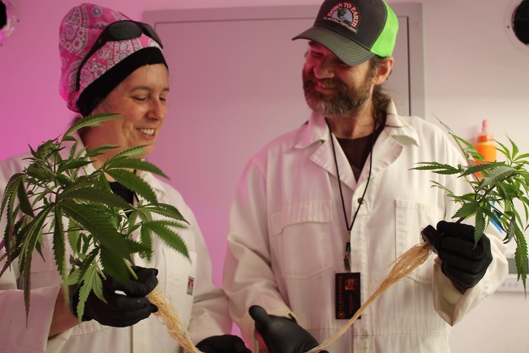 Plantworks Cannabis owners and growers