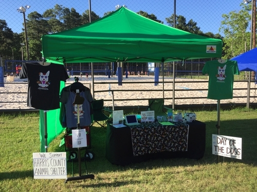 Successful Transport