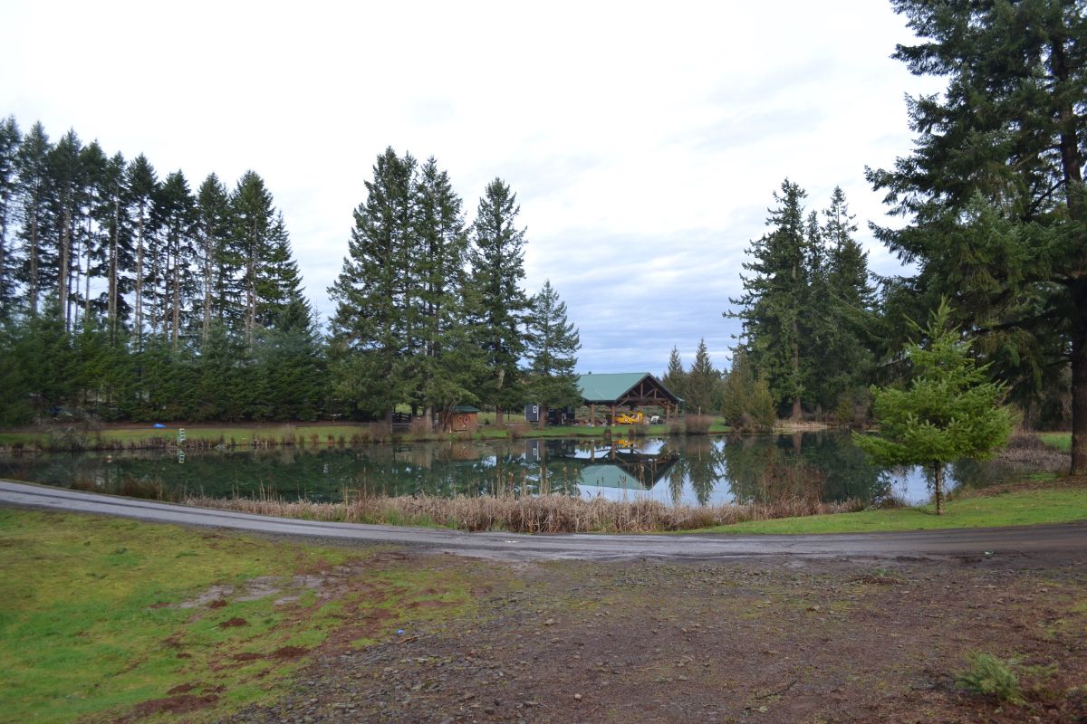 Buying Land for a Tiny House: A Complete Guide