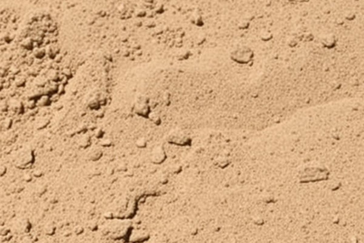 The Role of Expansive Clay Soils in Foundation Damage