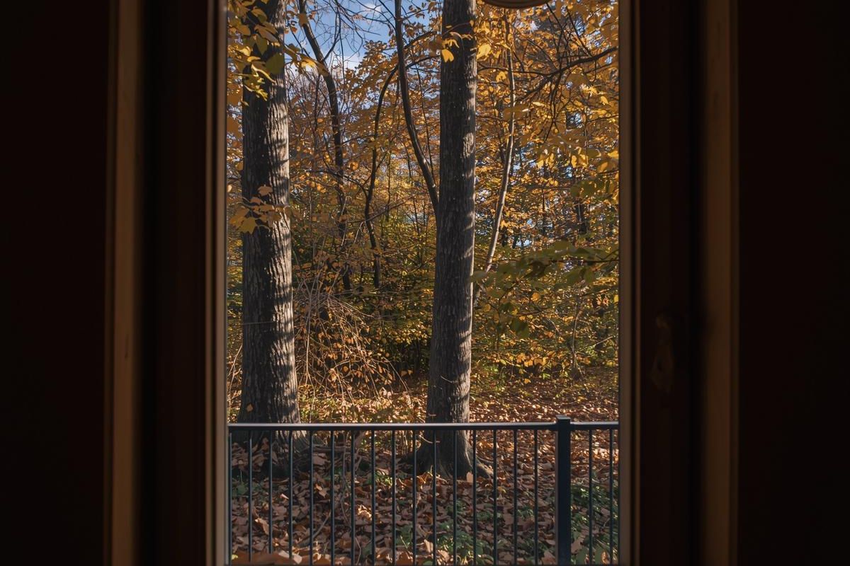 Autumn Insulation Tips: How to Keep Your Home Warm and Energy-Efficient