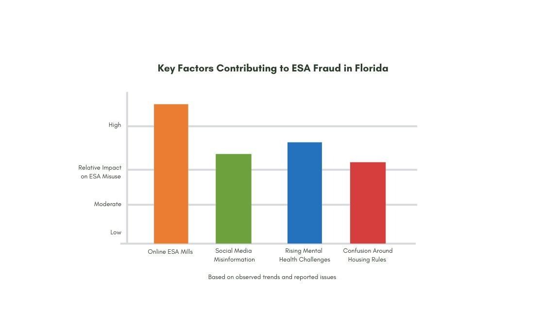 Infographic explaining contributing factors behind Florida ESA Letter scams