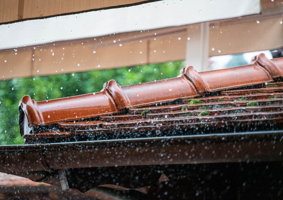 A tiny home exterior with gutters along the roofline