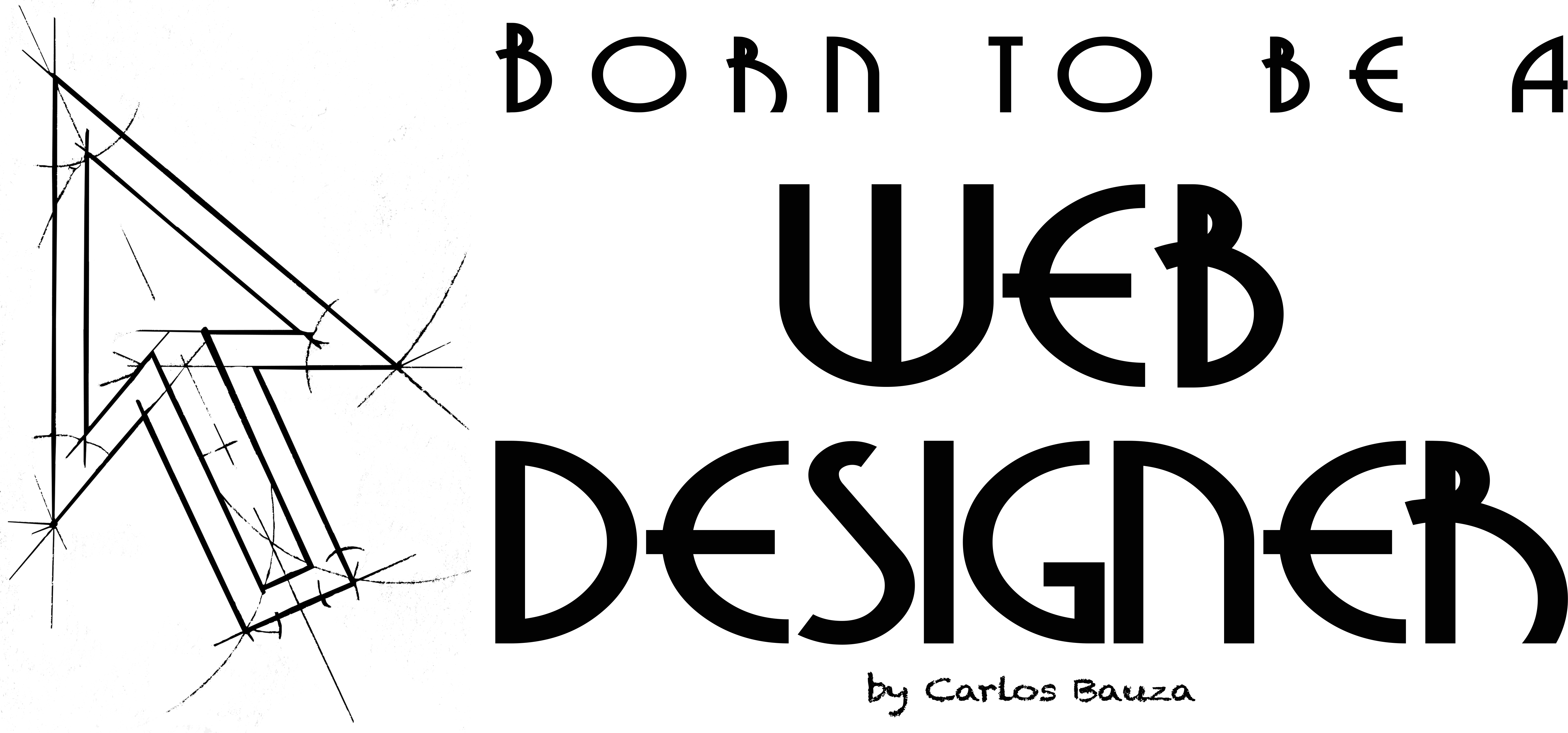 Web Design and eCommerce Solution by Carlos Bauza. Miami, New York, Boston, Los Angeles, Chicago.