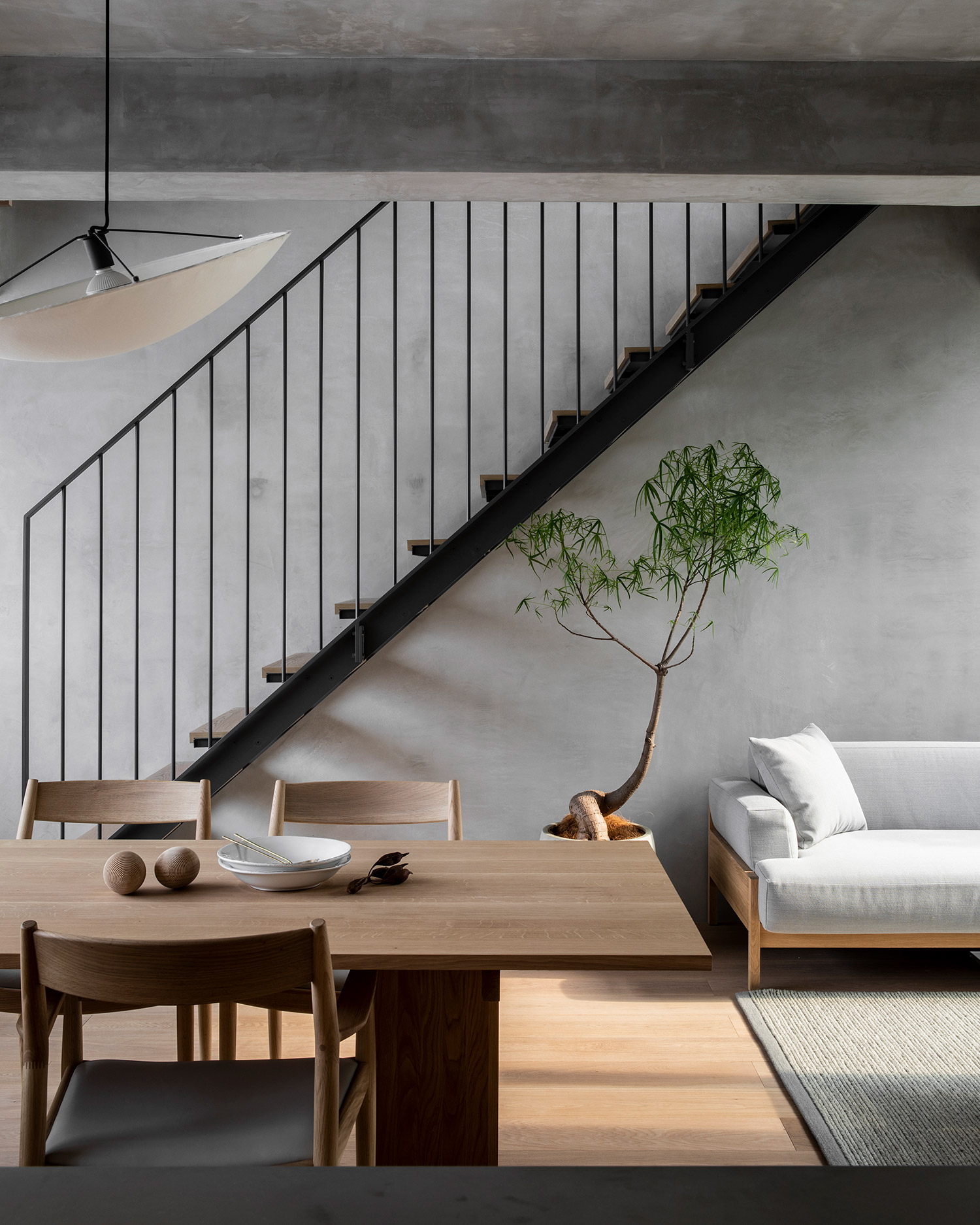 fine leaved Japanese tree in modern minimal concrete interior