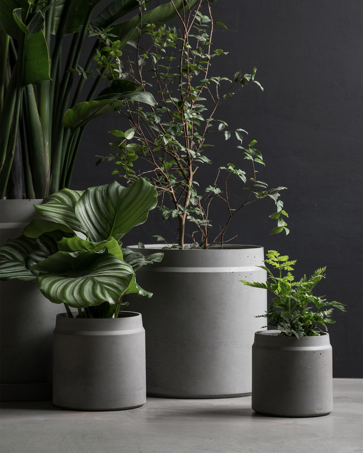 minimal round concrete planters with plants