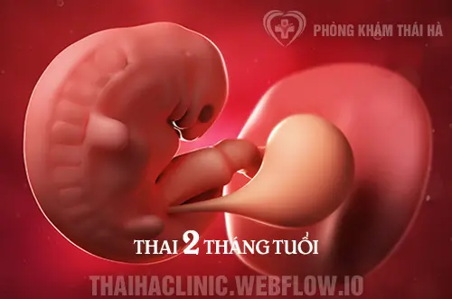 THAI 6 THÁNG CÓ PHÁ ĐƯỢC KHÔNG