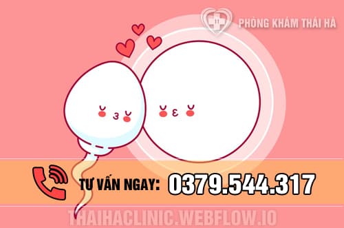 Quan hệ trước ngày kinh nguyệt (rụng trứng) có thai không?