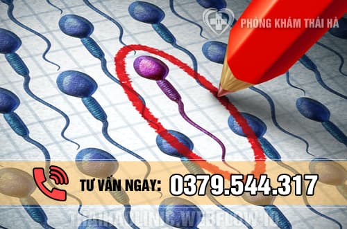 Tinh trùng yếu là gì?