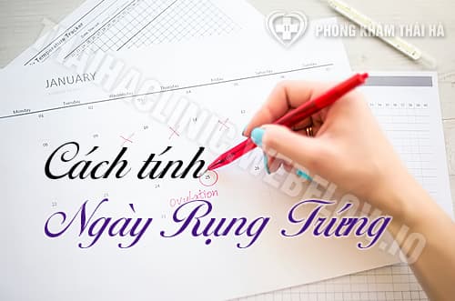 Cách tính ngày rụng trứng