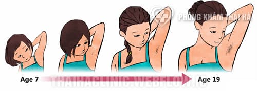 Đặc điểm tuổi dậy thì ở nữ giới