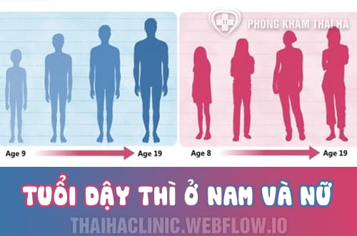 Tuổi dậy thì ở nam và nữ giới