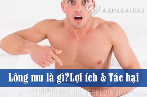Lông mu là gì? Lợi ích và tác hại với nam và nữ giới