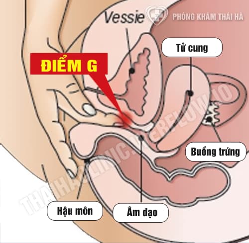 Điểm G của phụ nữ