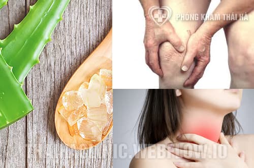 Công dụng của cây nha đam đối với sức khỏe