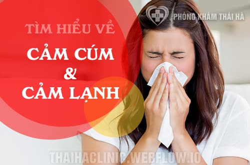 Cảm cúm và cảm lạnh là gì?