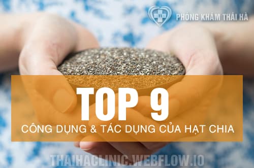 Top 9 tác dụng và công dụng của hạt chia