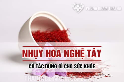 Nhụy hoa nghệ tây là gì? có tác dụng gì cho sức khỏe?