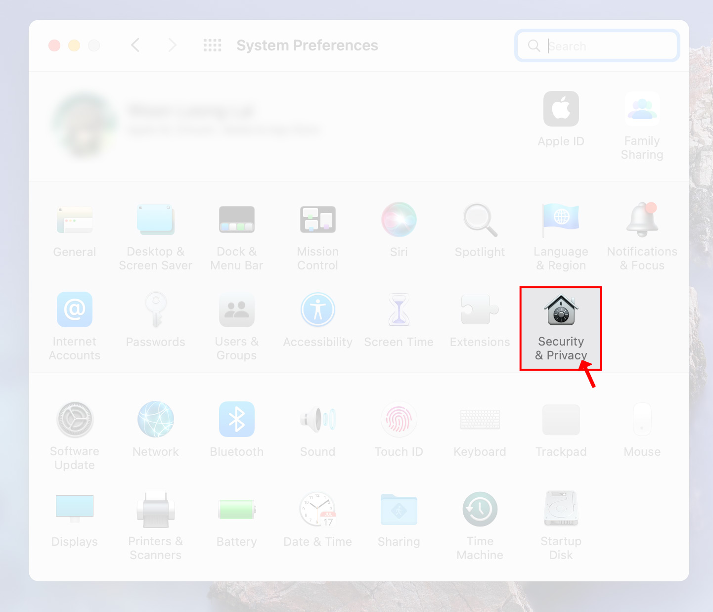 Click the "Security & Privacy" icon