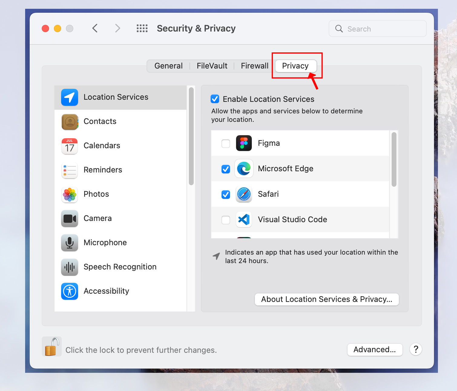 Then, select Privacy.