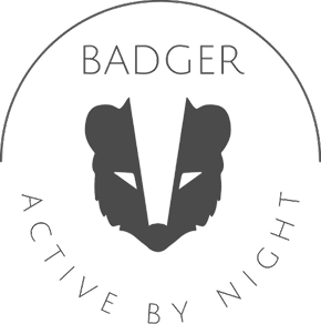 Lottery Funded Arts Council Logo