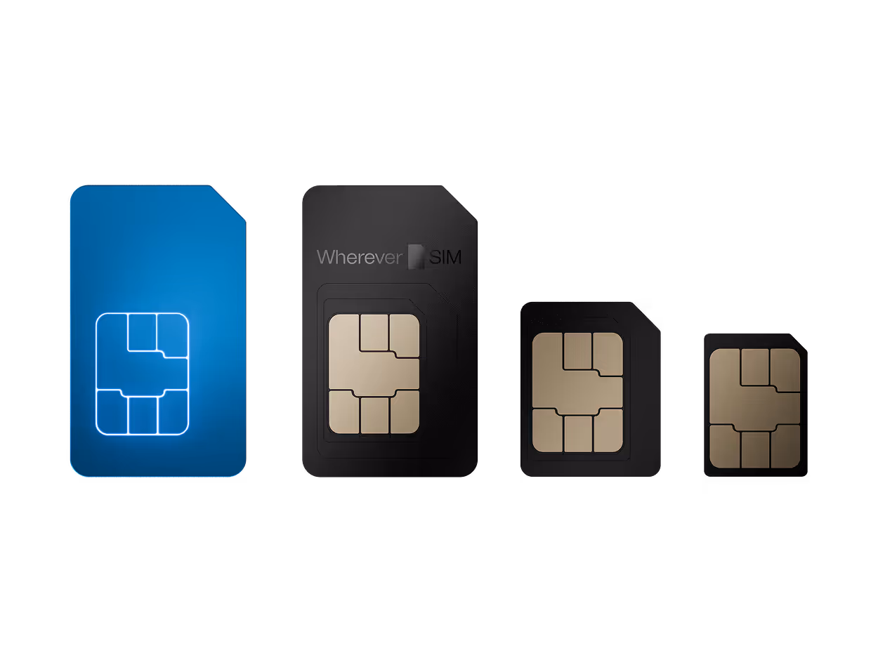 Rodzina kart SIM IoT 