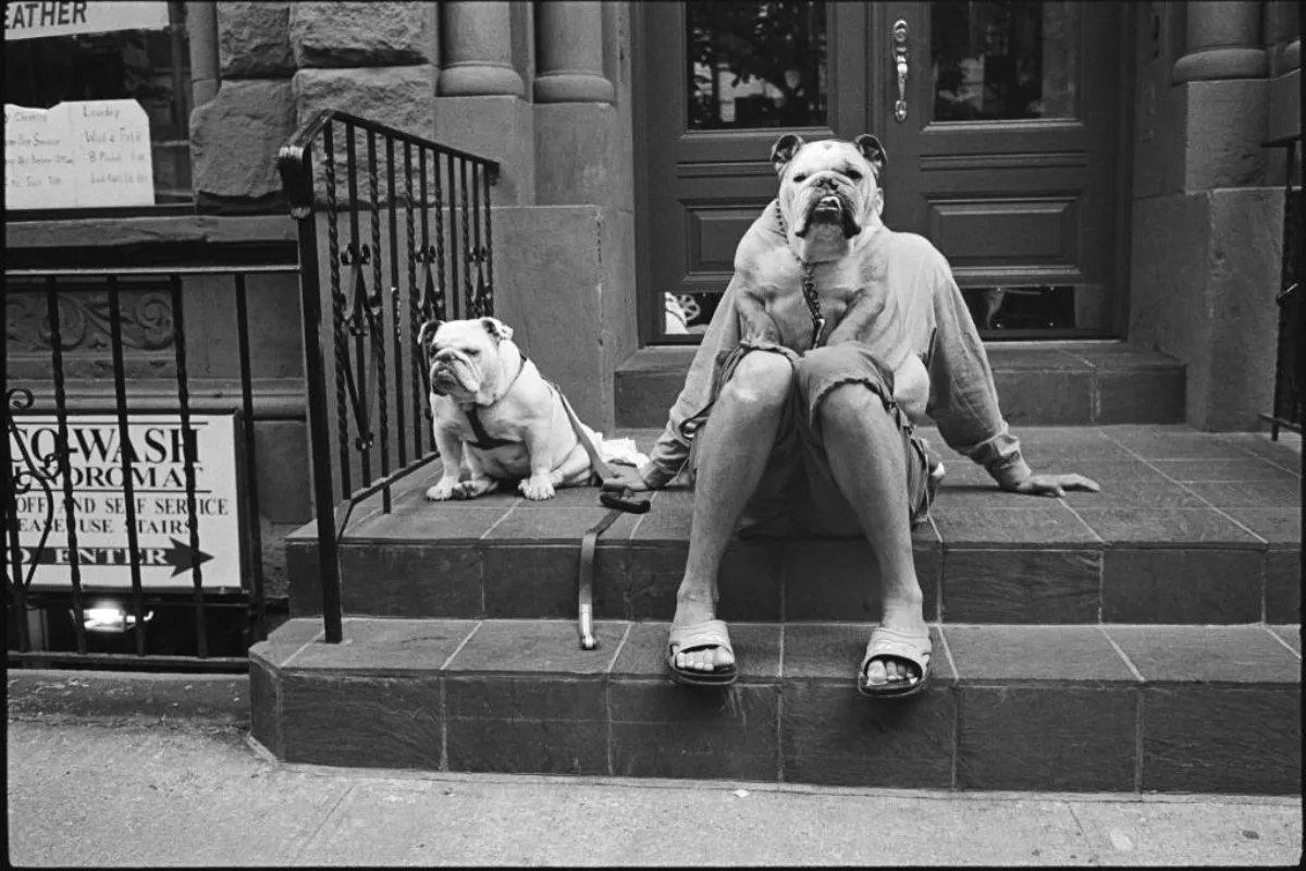 Uomo seduto con un bulldog sulle scale in un celebre scatto ironico di Elliott Erwitt