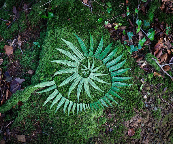 Land art by Mayumi Nakabayashi