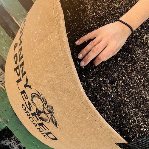 Starting beets in spring