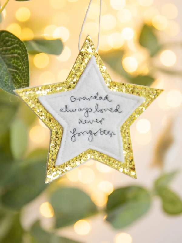 Sparkly always loved stars 