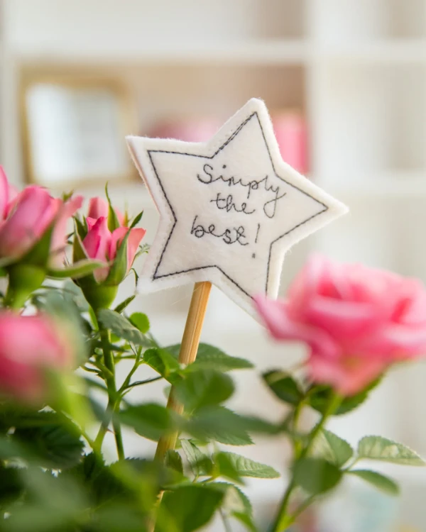 mini signs