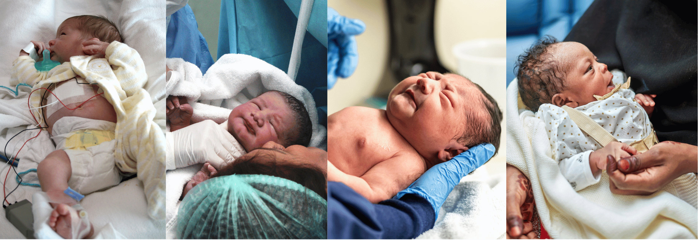 Abundance Wrapped In Sacrifice 