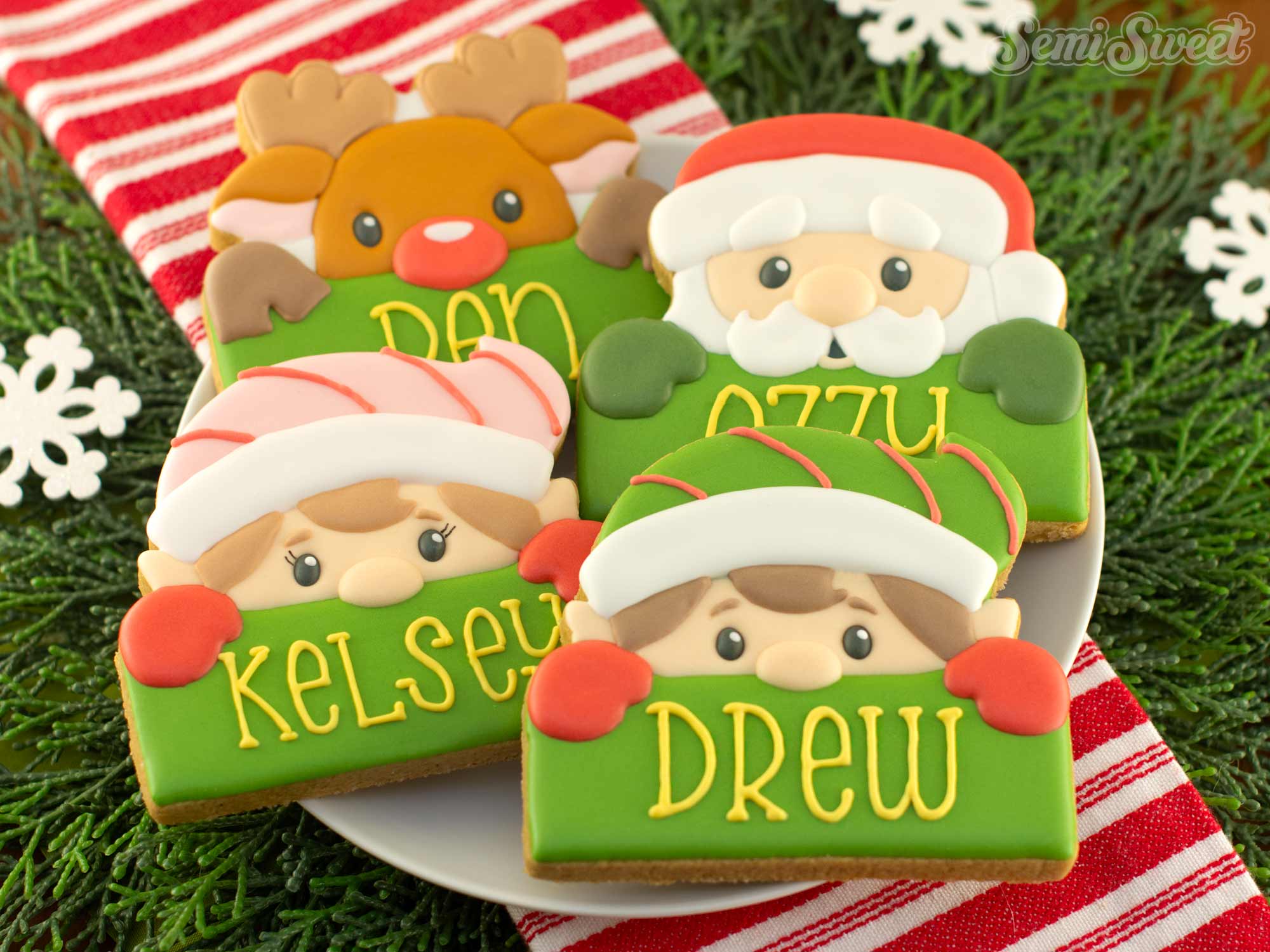 How to Decorate a Personalized Elf Name Plaque Cookie with Royal Icing (Christmas Cookie Tutorial)