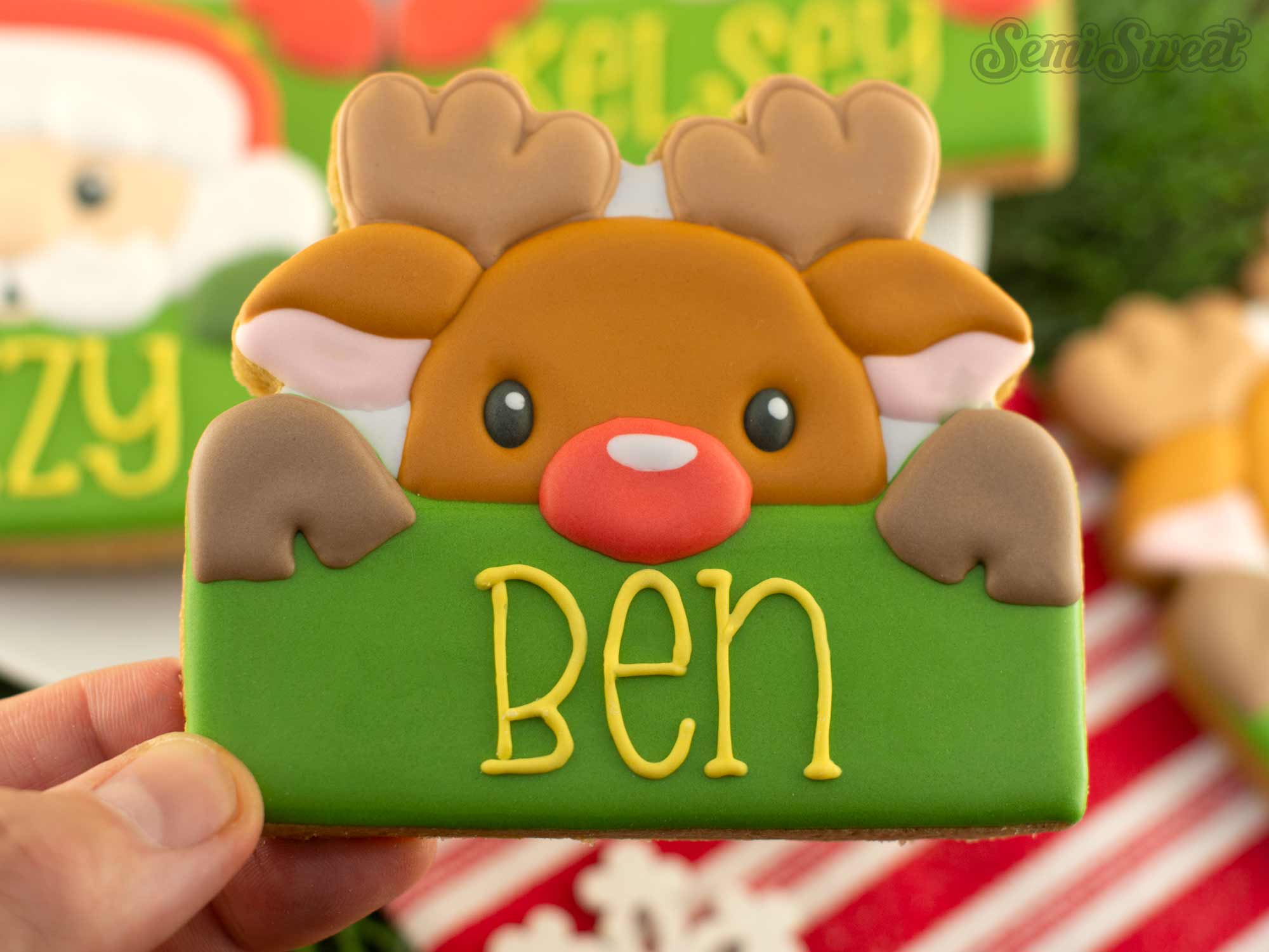 reindeer cookie plaque with name