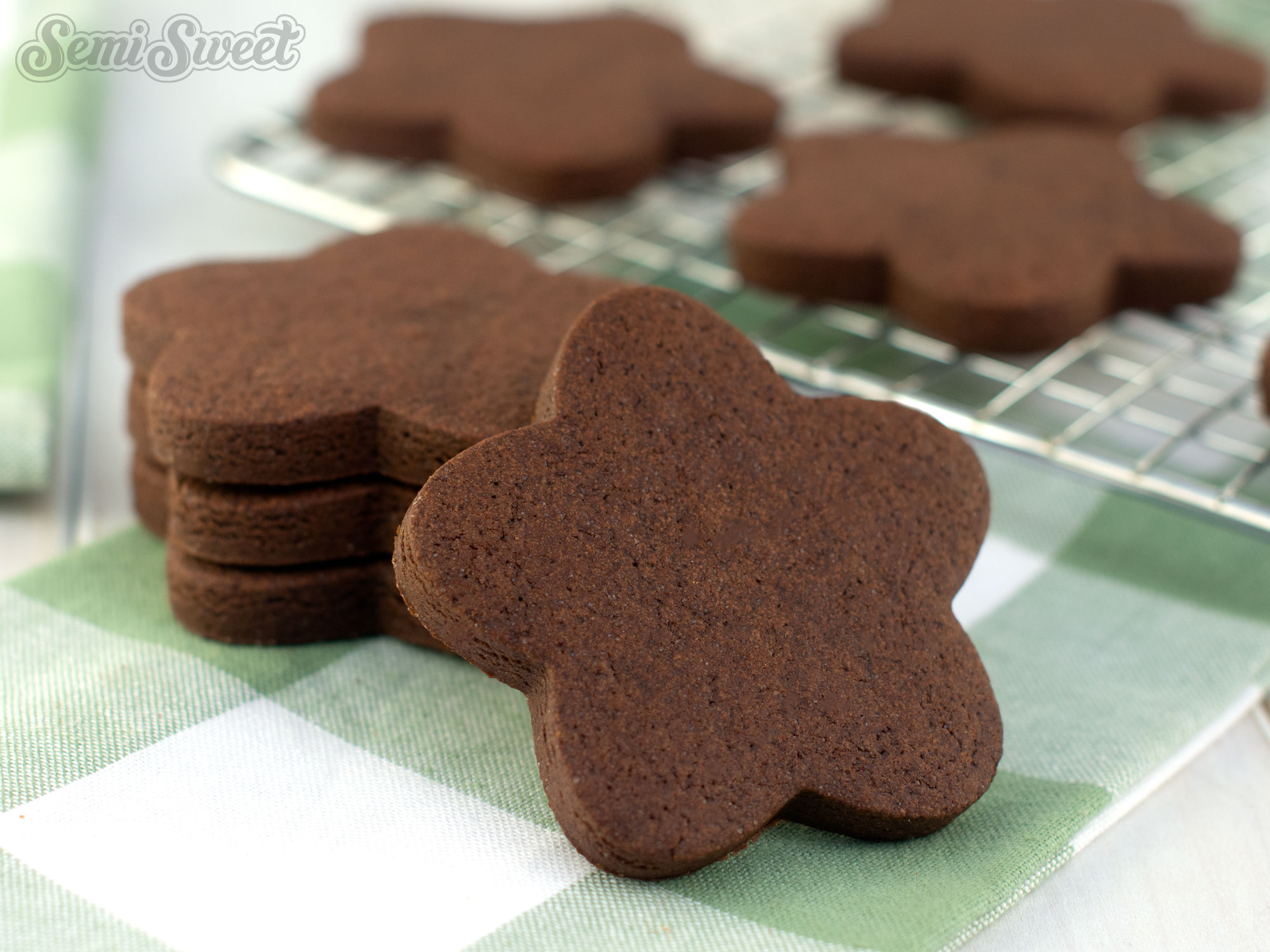 The Best Chocolate Cut-Out Cookie Recipe for Cookie Cutters