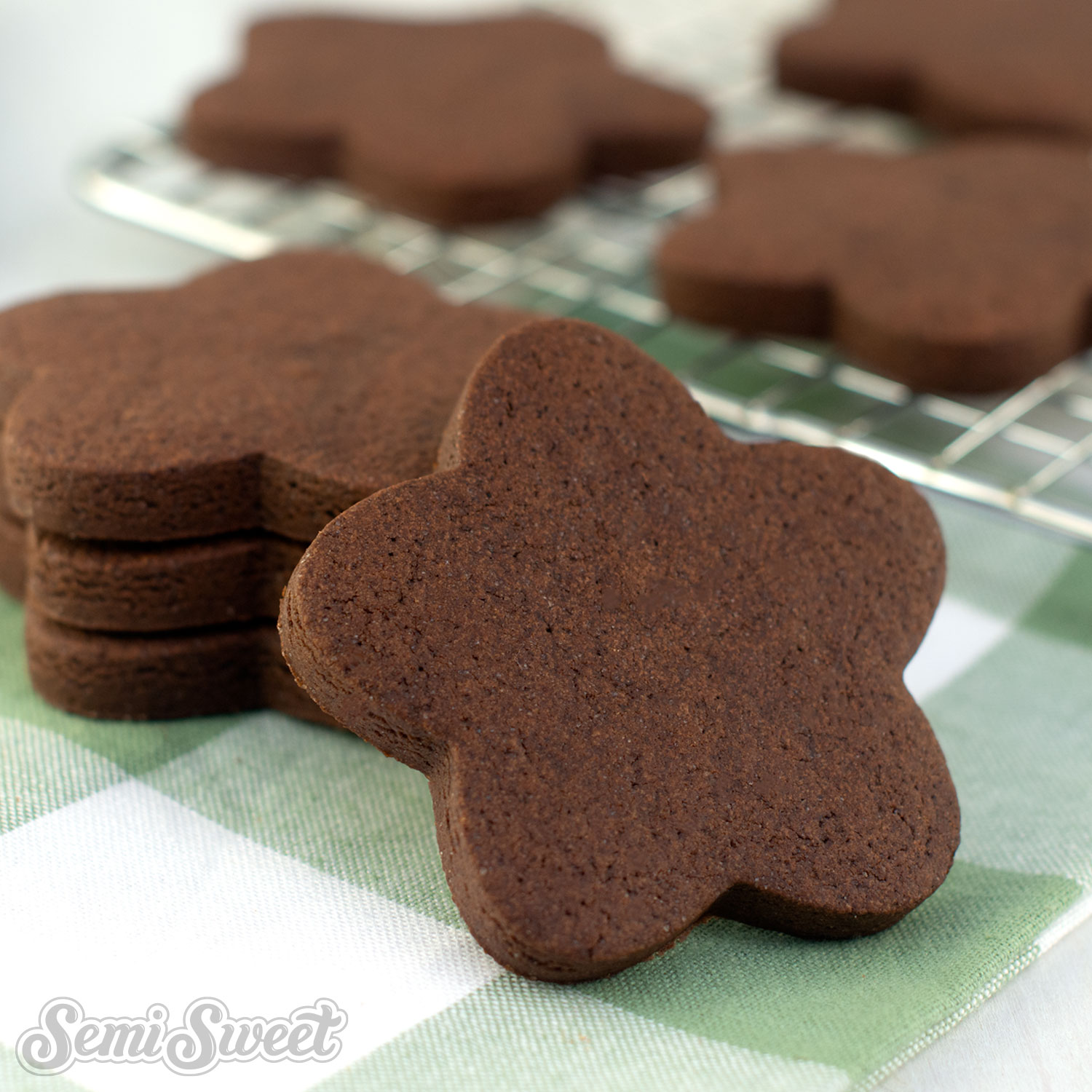 The Best Chocolate Cut-Out Cookie Recipe for Cookie Cutters