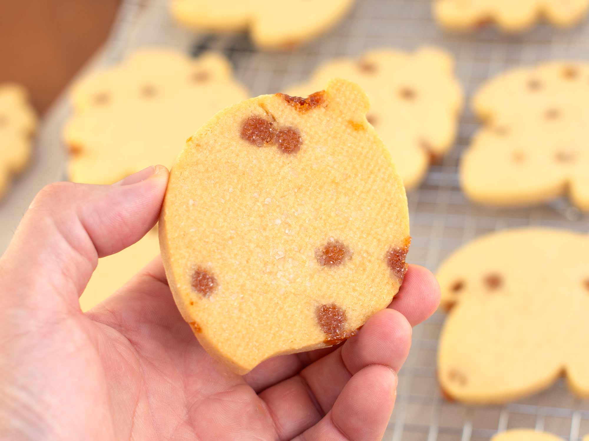 the underside of a salted caramel cutout cookie. The salt is crystalized to the cookie.