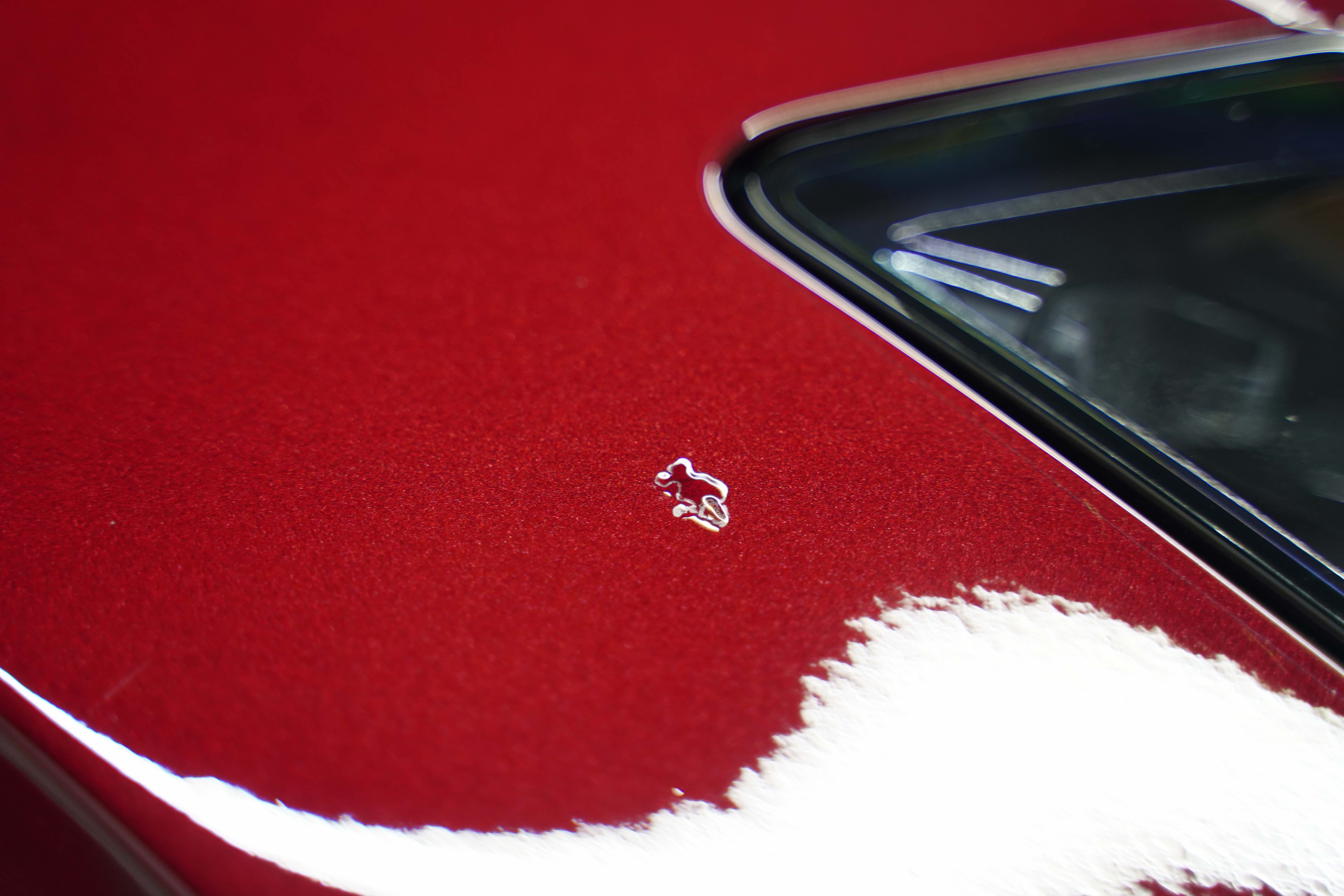 Paint Protection Film applied over a rock chip