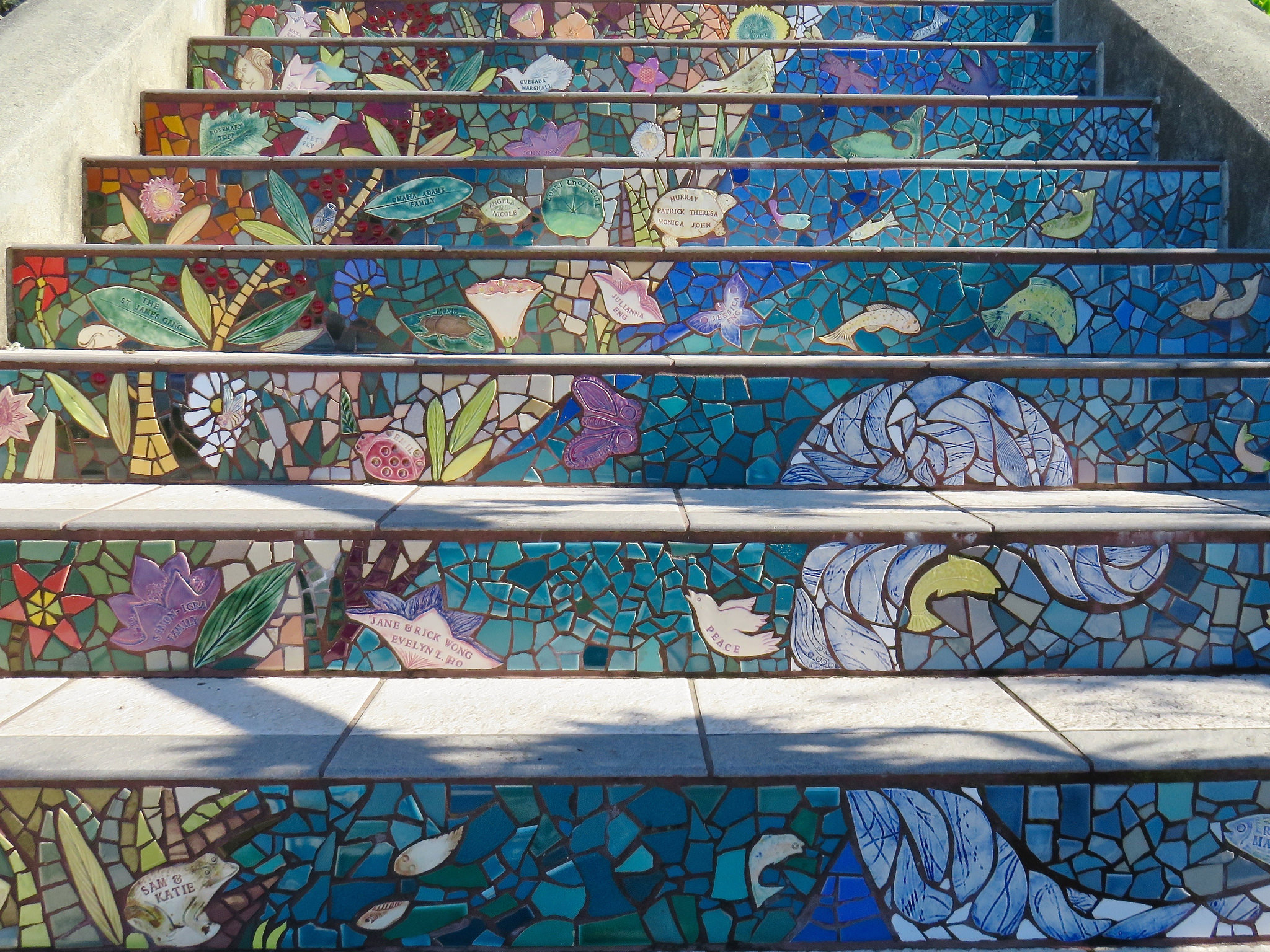 mosaic steps sea cliff