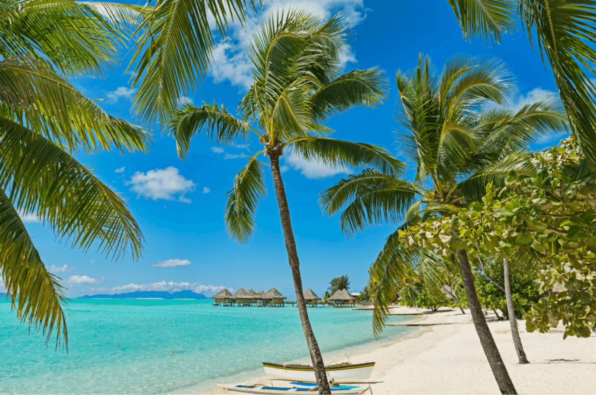Tropical beach lined with palm trees and overwater bungalows in turquoise water, showcasing professional resort photography that attracts vacation travelers