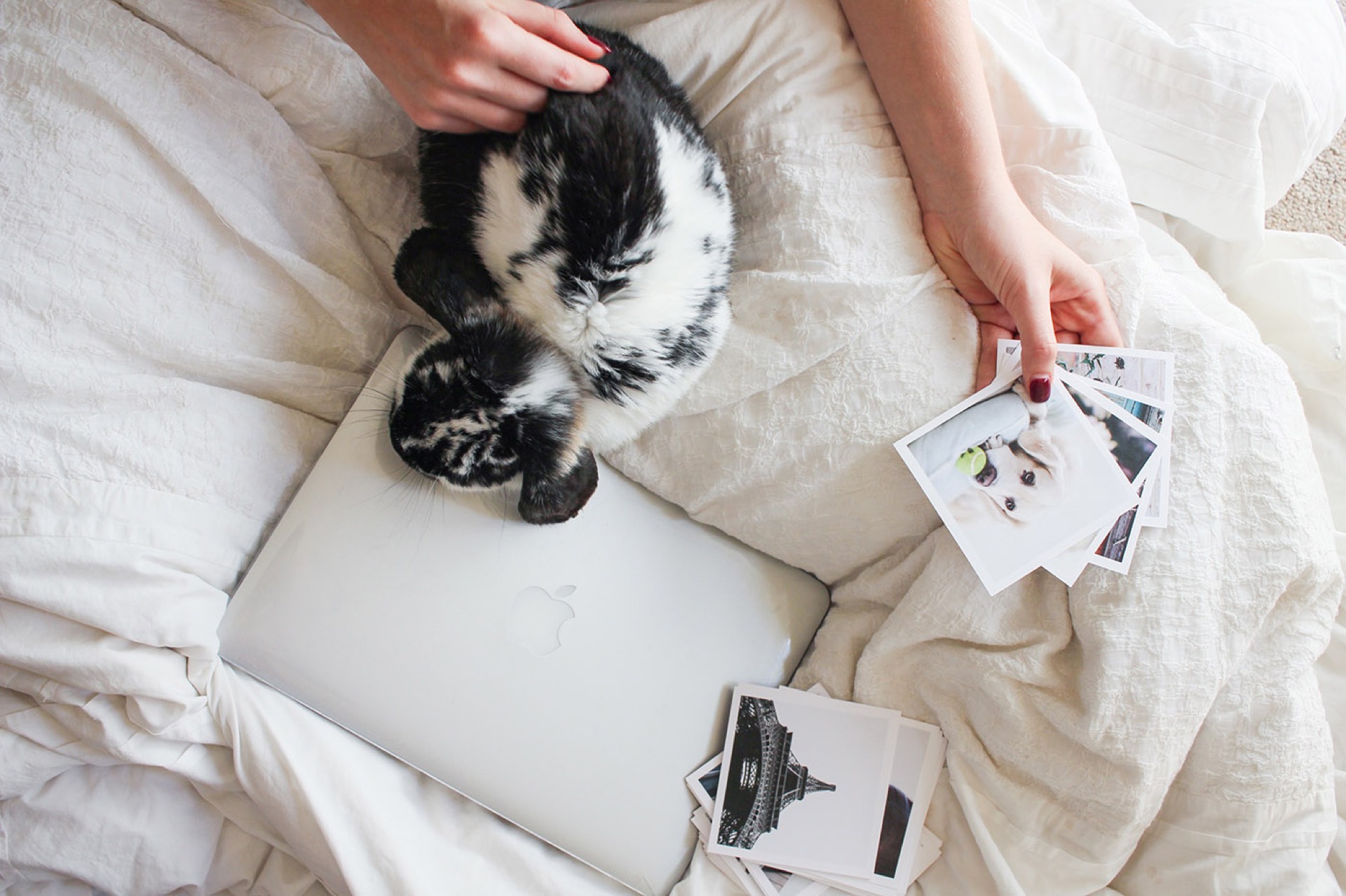 Person holding printed photos beside a black-and-white cat and laptop on a bed, a reminder of why you should print your photographs
