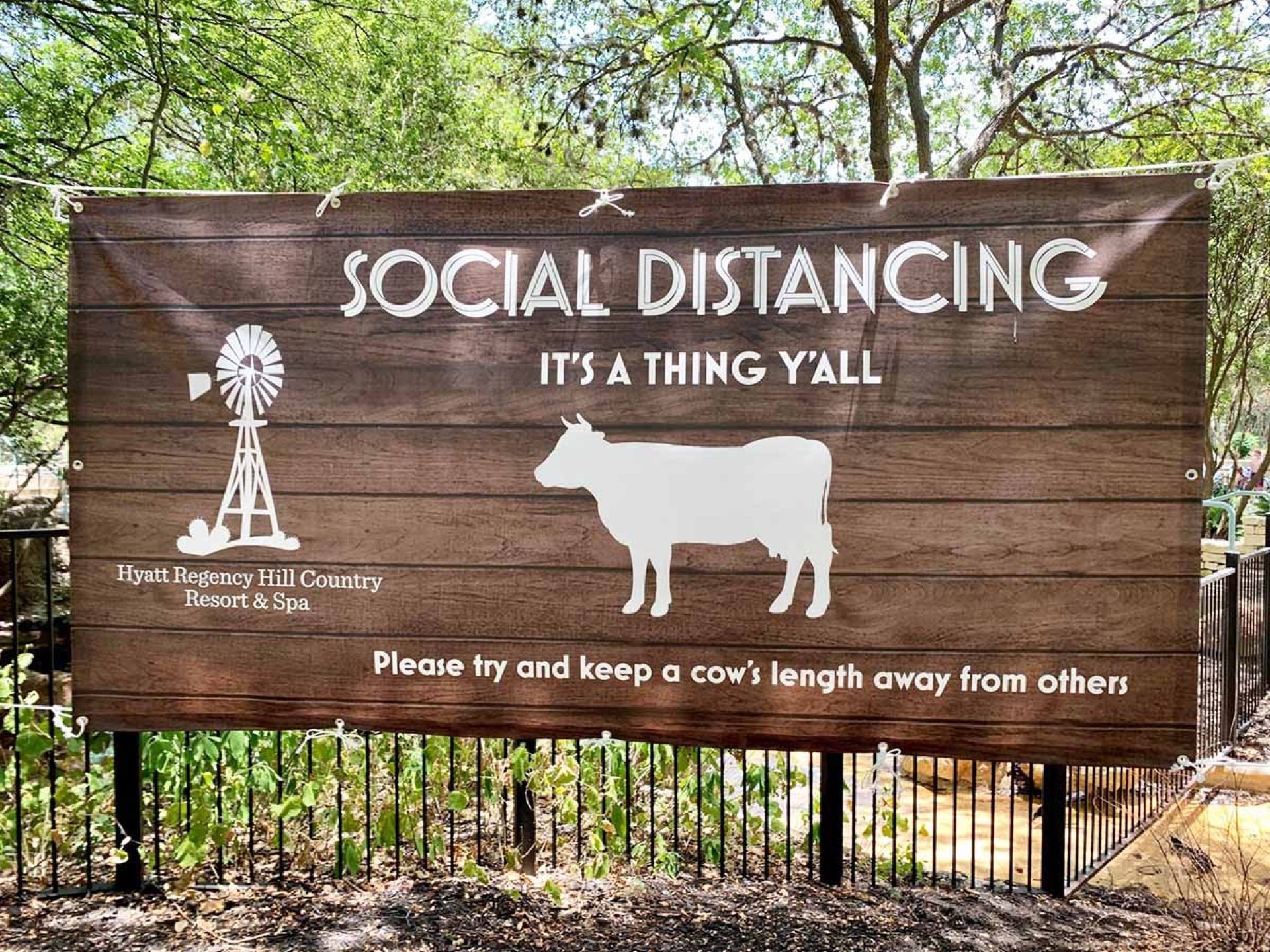 Hyatt Regency Hill Country Resort and Spa outdoor social distancing sign with cow graphic and humorous Texas-themed messaging