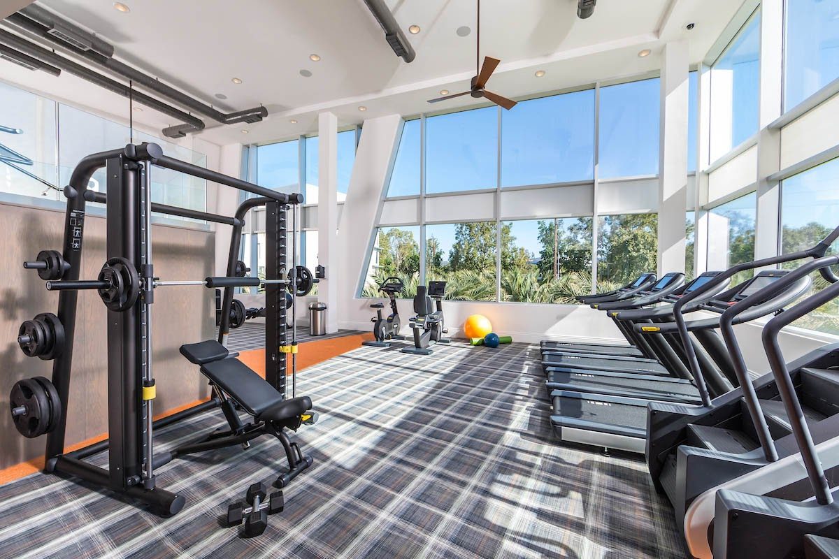 Apartment complex fitness center with weight machines, dumbbells, and cardio equipment in a sunlit gym with floor-to-ceiling windows