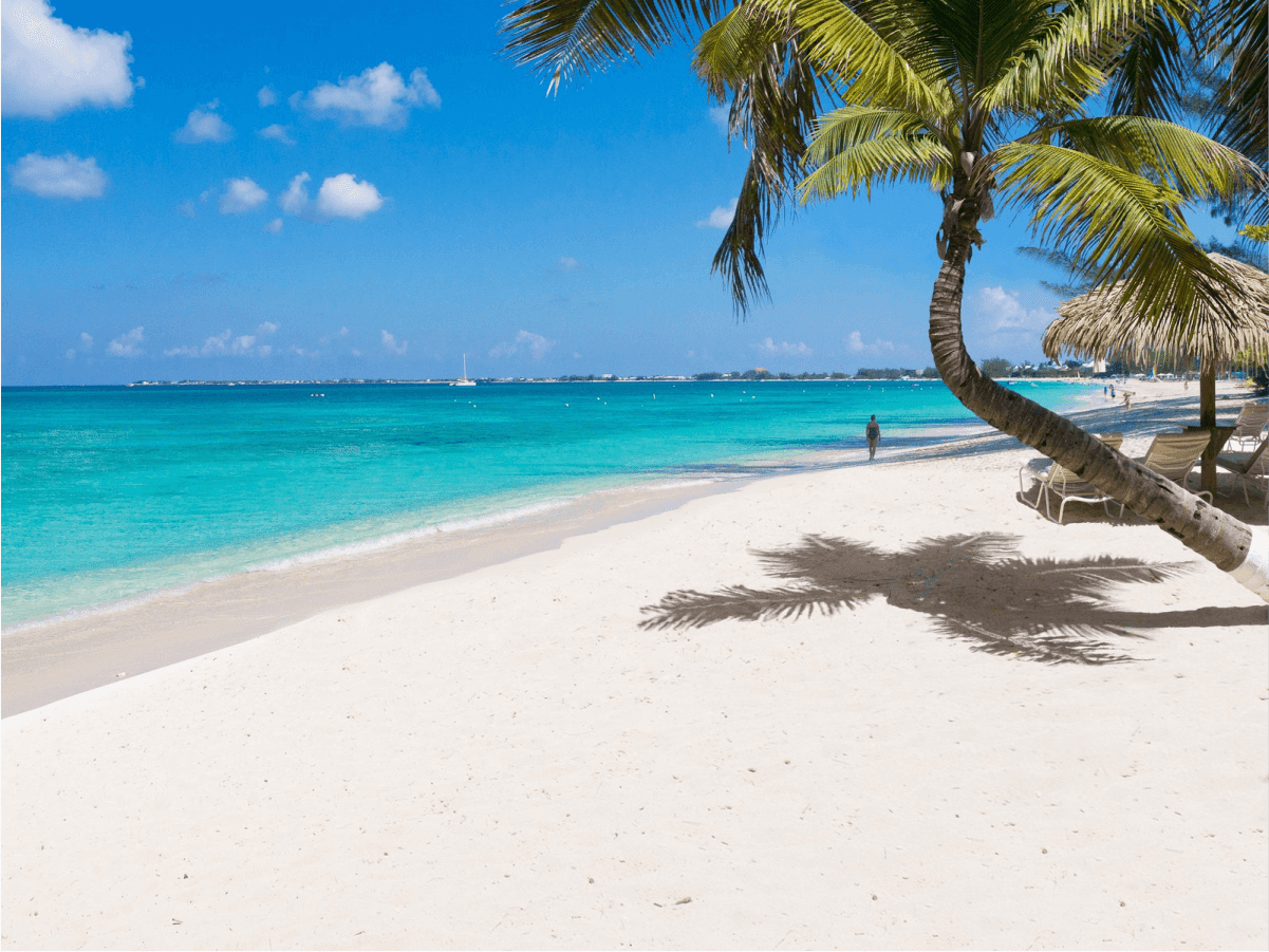 White sand tropical beach with tall palm trees and crystal-clear turquoise water, inspiring post-pandemic vacation travel