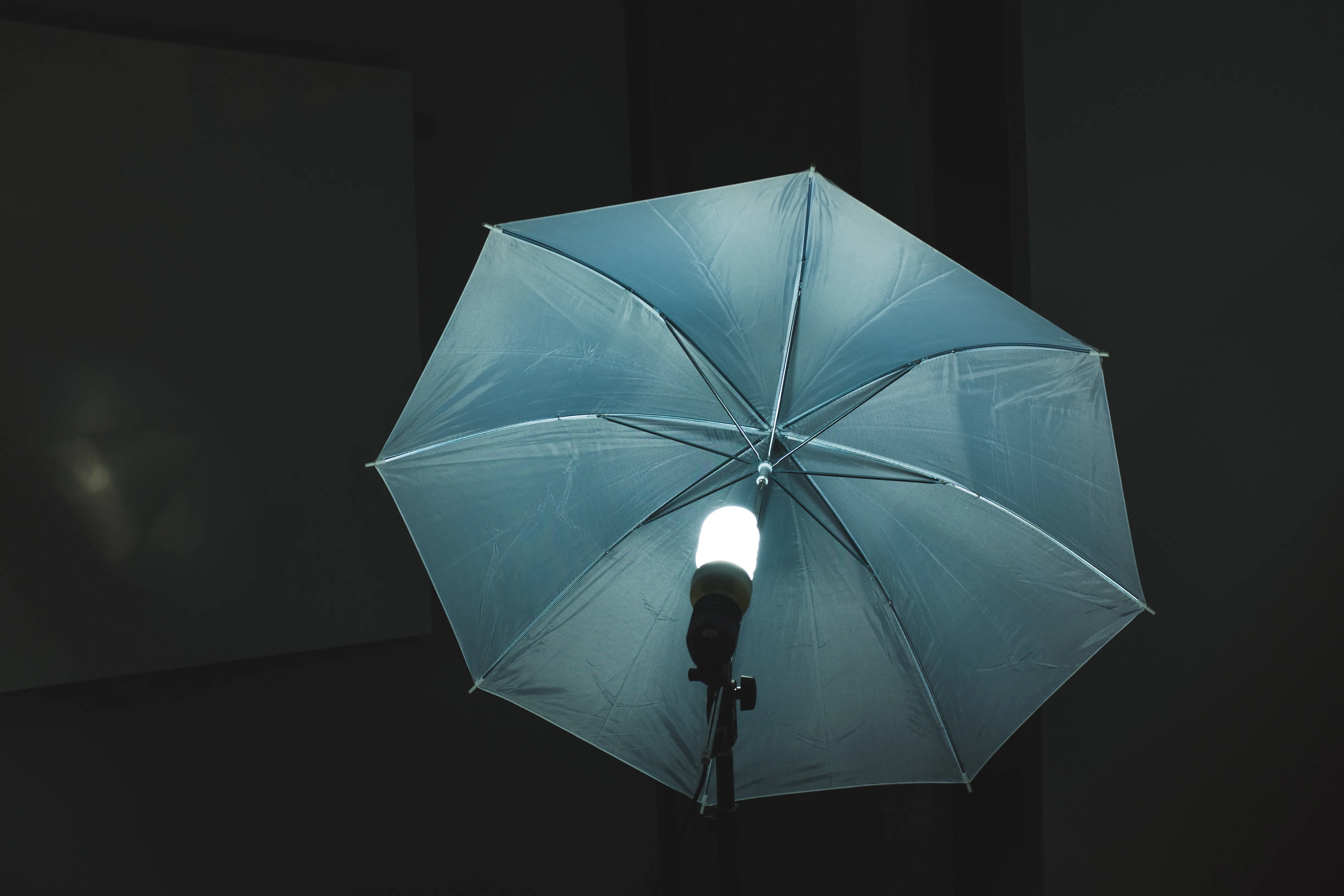 Close-up of a studio photography lighting setup with a translucent white shoot-through umbrella and bulb on a stand