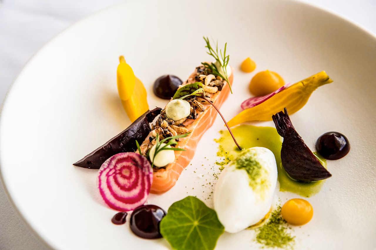 Fine dining plate of salmon with heirloom beets, nasturtium leaf and herb oil