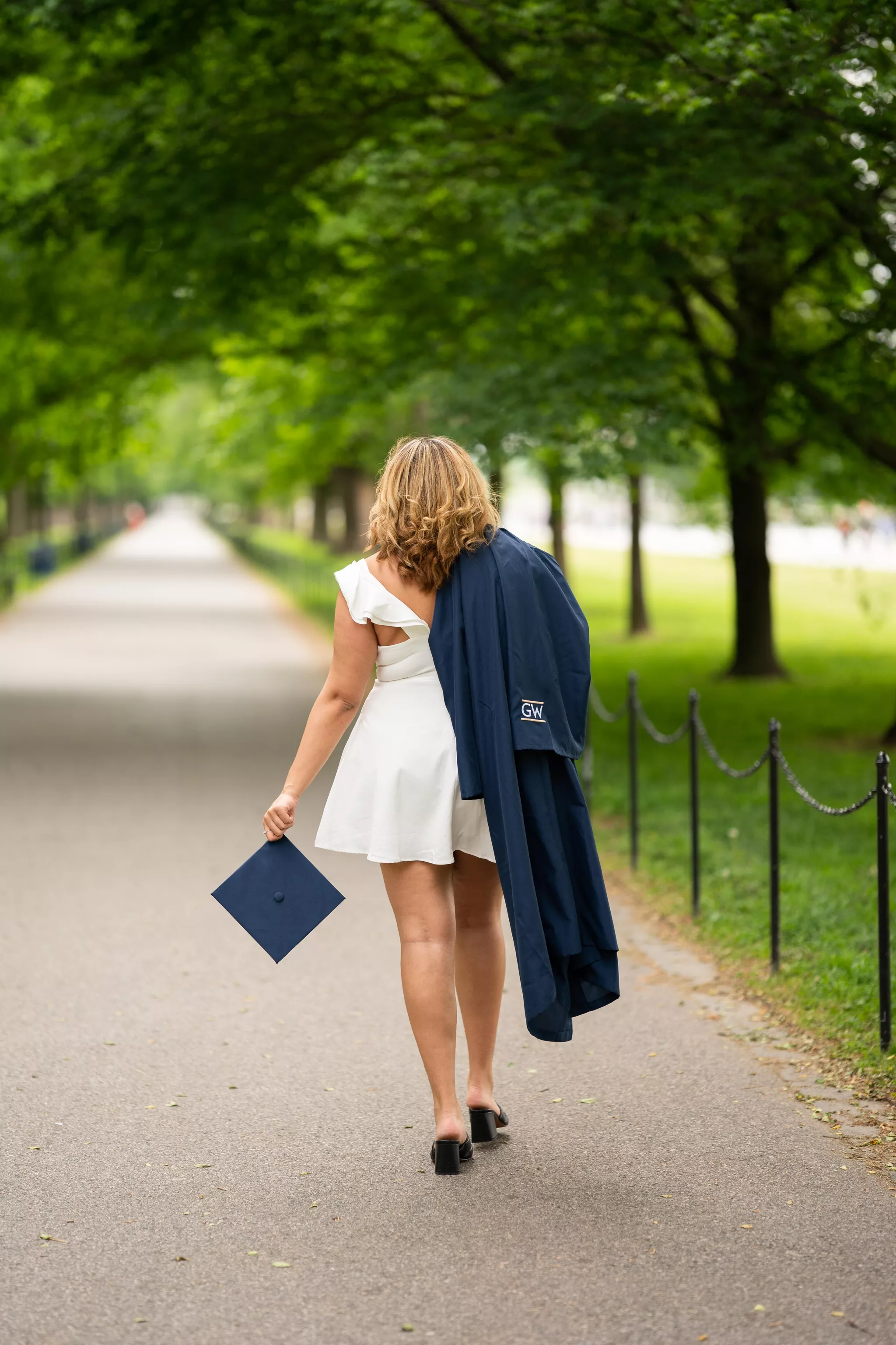 Graduate from behind on a tree-lined path, gown over shoulder, a classic stock photography scene