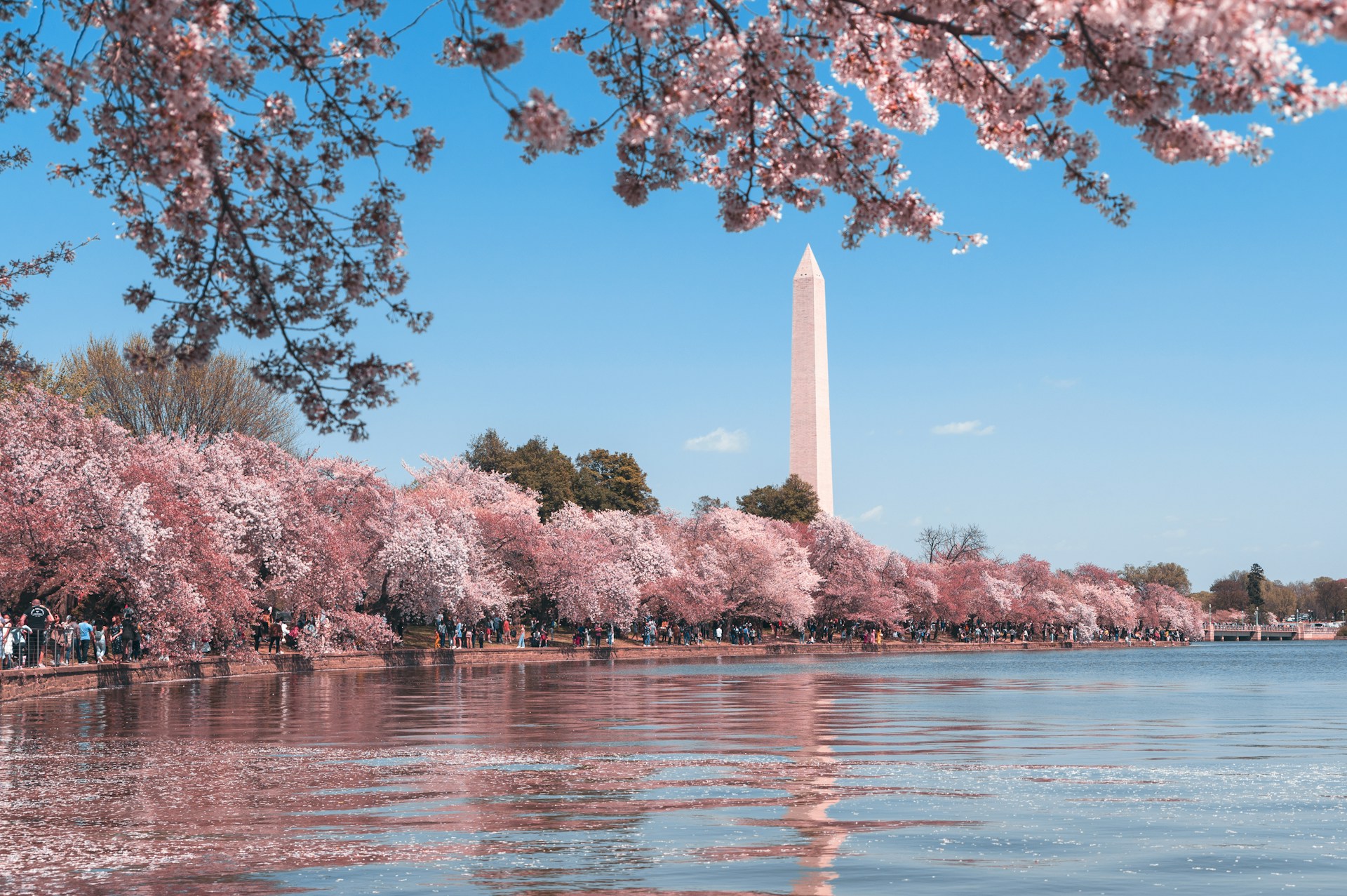Admission by Motion to the D.C. Bar using the 3-year provision ➲ A strategy for all US-licensed Attorneys